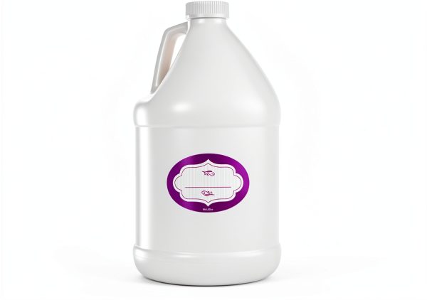 1 Gallon Jug Plastic Bottle DilaBee BPA Free HDPE Wide Mouth 2 Pack-1